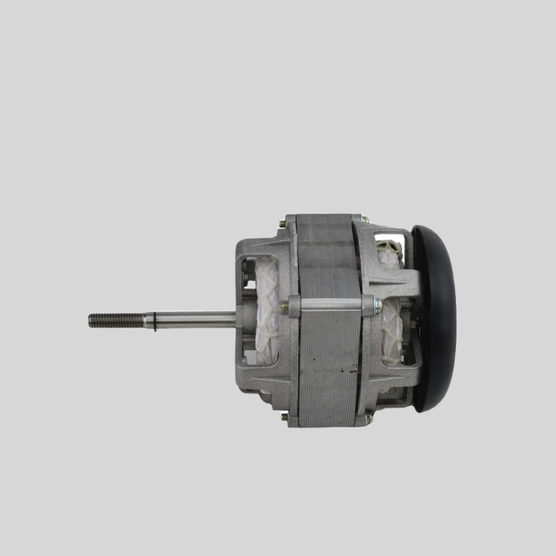 12V Brushless Motor for Mini Food Processing Machines
