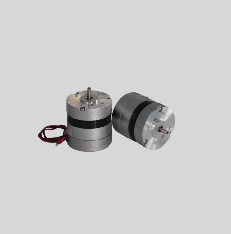 High RPM Miniature BLDC Motors (12V-72V) High RPM Miniature BLDC Motors (12V-72V)